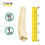 Talis Us Cow Tail Dog Chews - Healthy Dog Treats - Talis Us
