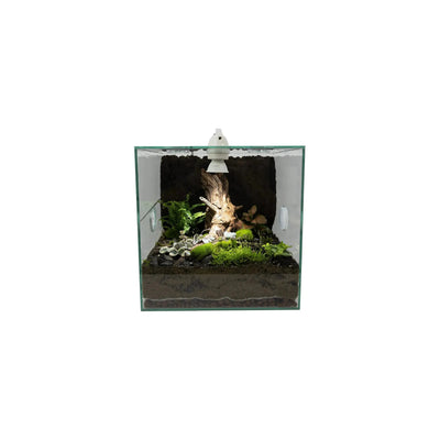 Talis - us LED Light for Ant Nest Ants Farm Insect Cages Spotlight for Formicarium - Talis Us