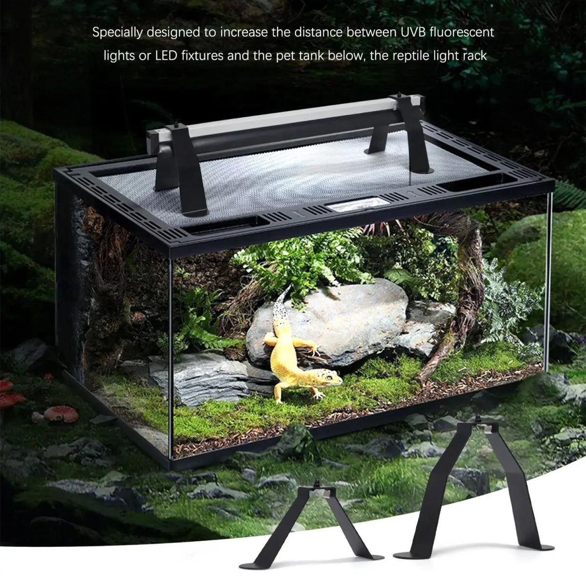 Talis - US LED T5 UVB Lamp Stand for Reptile Terrariums - Talis Us