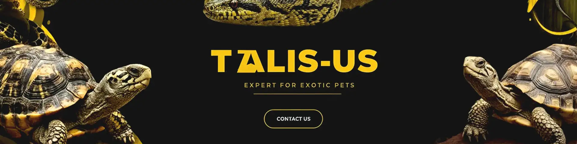 Talis-us logo in bold yellow font on a black background.
