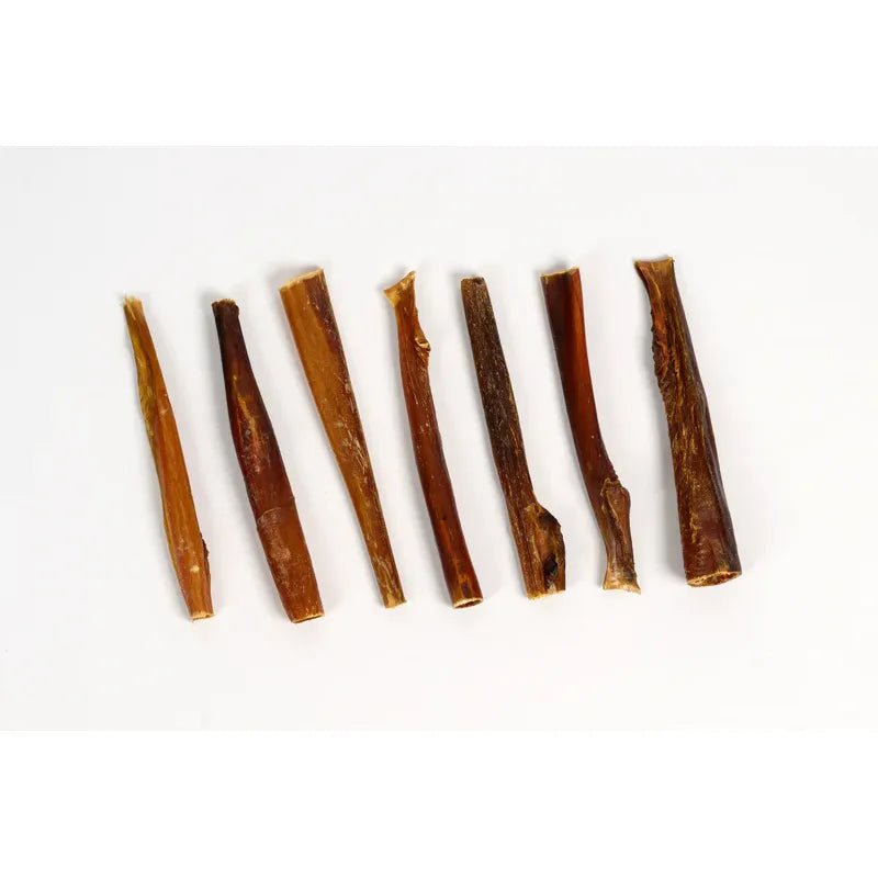 Talis Us Natural Dog Chews Bully Sticks Skin for Dogs 6'' - Talis Us