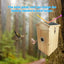 Talis - us Smart Bird Nesting House with WI - FI Camera - Talis Us