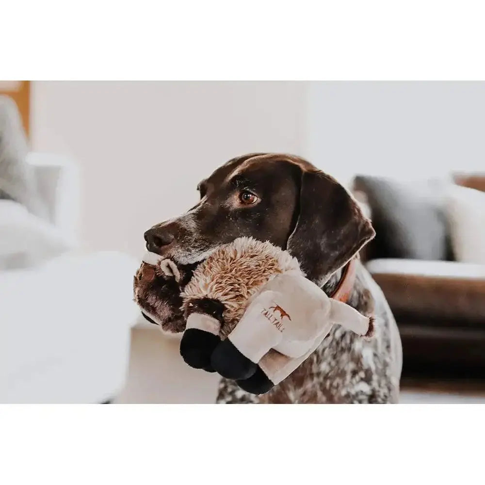 Tall Tails Buffalo With Squeaker Dog Toy 9" - Talis Us