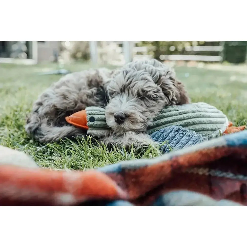 Tall Tails Plush Duck With Squeaker Dog Toys 12" - Talis Us