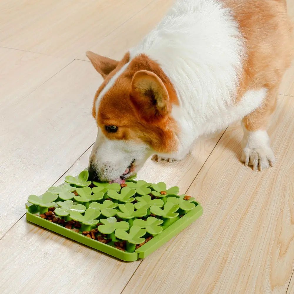 Tall Tails Spring Clover Foraging Mat - Talis Us