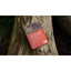 The Ant Collective: Inside the World of an Ant Colony by Armin Schieb - Talis Us