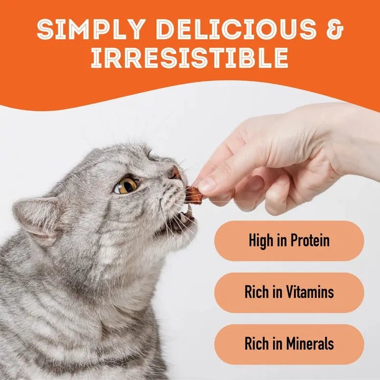 The Granville Island Pumpkin Dehydrated Pet Treat For Dogs & Cats Vegan 2.8 oz - Talis Us
