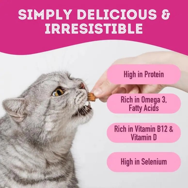 The Granville Island Wild Salmon Freeze - Dried Pet Treats 1.7oz - Talis Us