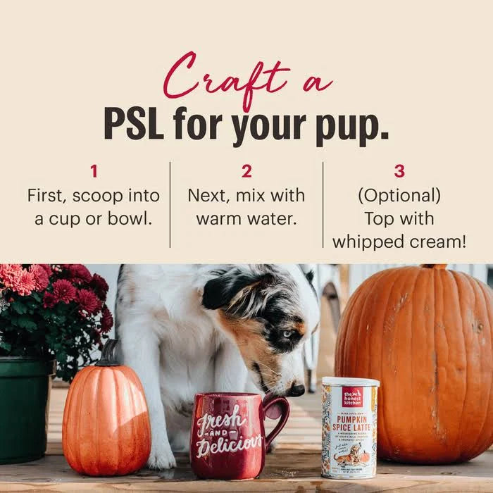 The Honest Kitchen pumpkin latte for dogs preparation steps with a dog and pumpkins