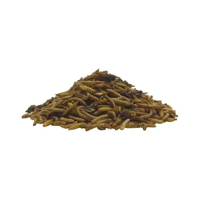 TropicZone Insect Treat & Dietary Aide - Talis Us