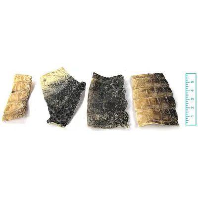 Tuesday's Natural Dog Company Natural Alligator Skin Dog Chew Bulk - Talis Us