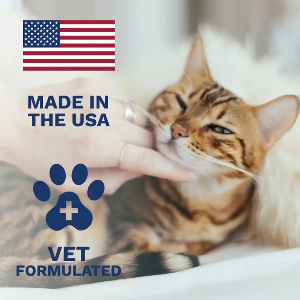 Under the Weather Anti - Diarrhea Liquid for Cats 4oz - Talis Us