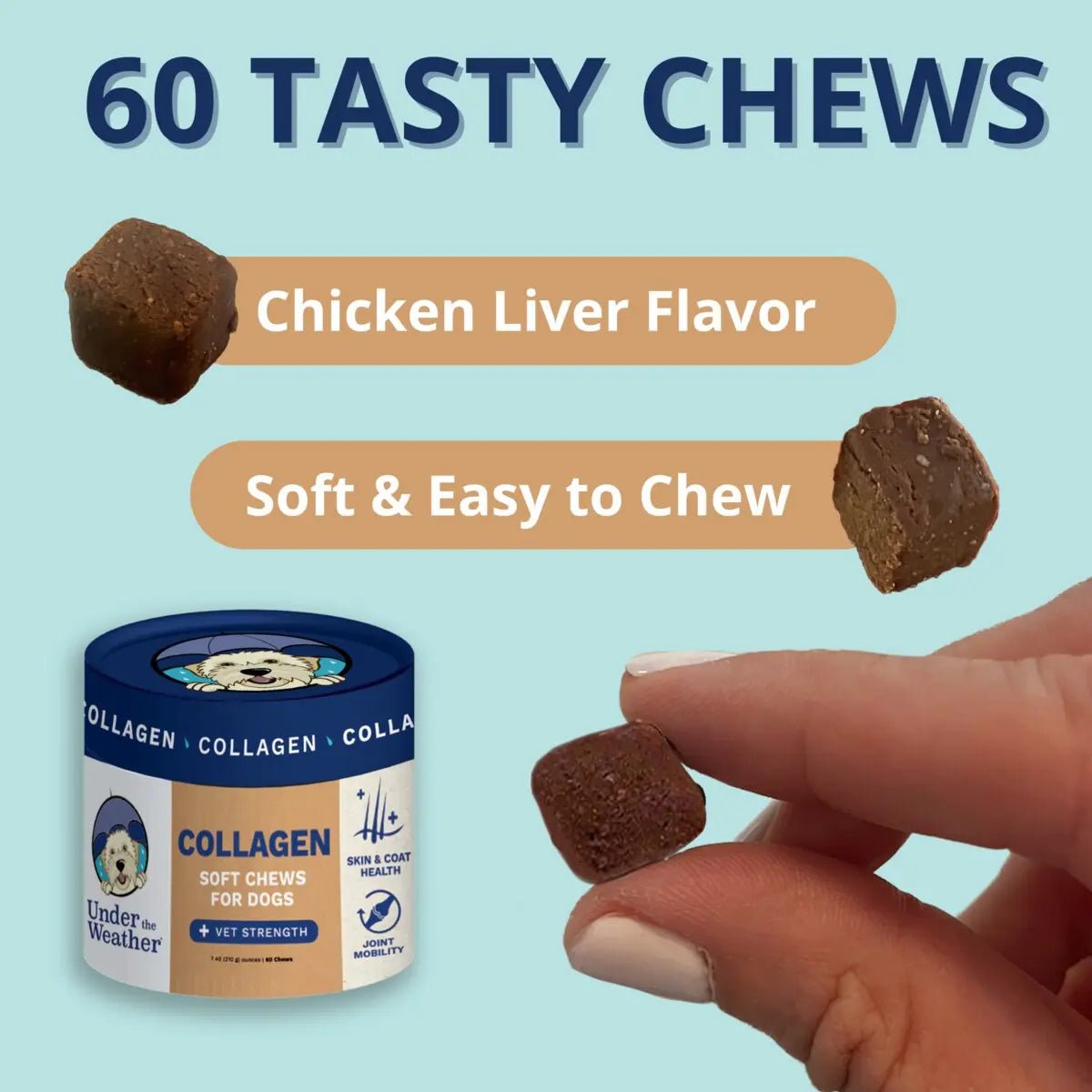 Under the Weather Collagen Soft Chew for Dogs 3.5oz - Talis Us