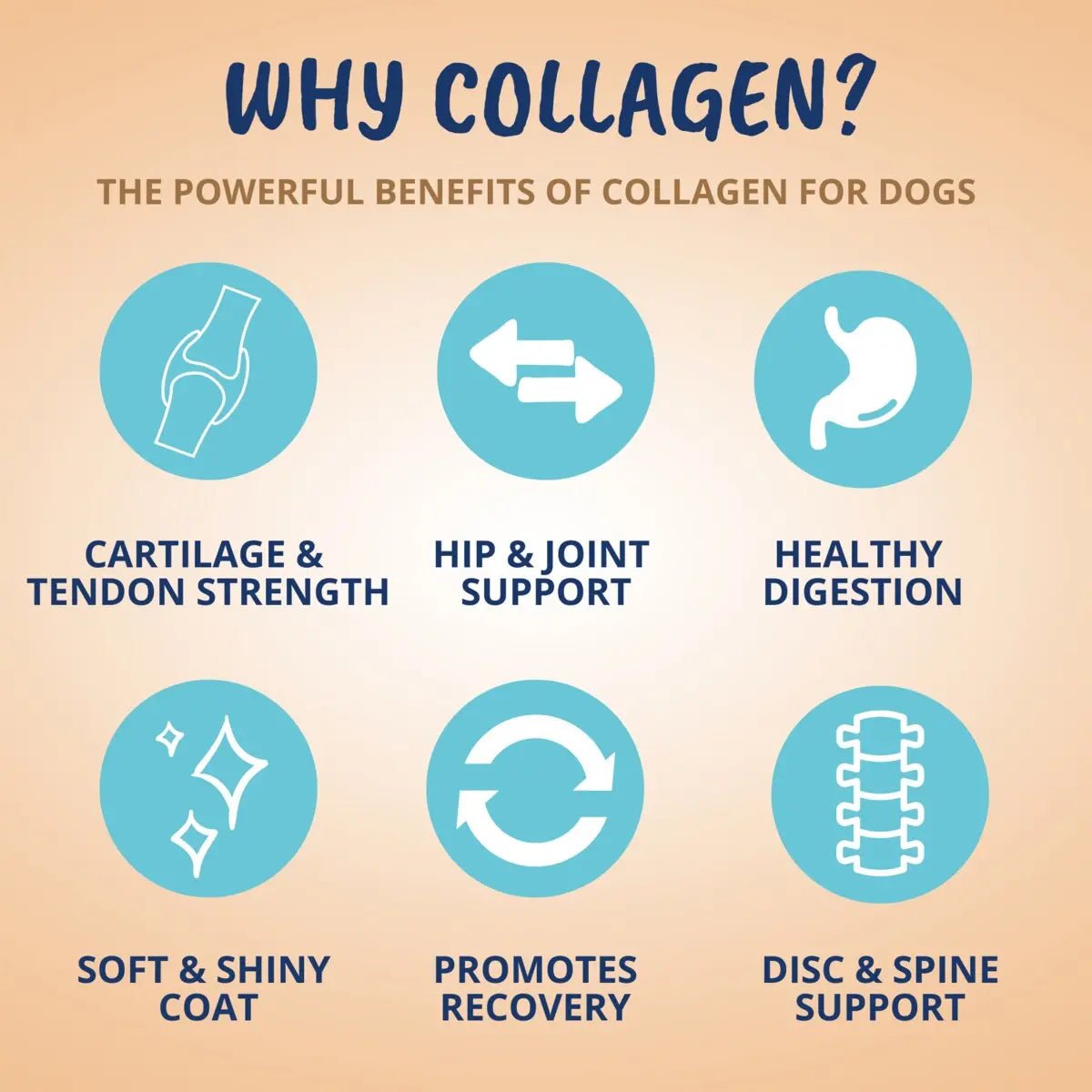 Under the Weather Collagen Soft Chew for Dogs 3.5oz - Talis Us
