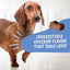 Under the Weather Disc & Spine Soft Chew 60ct. - Talis Us