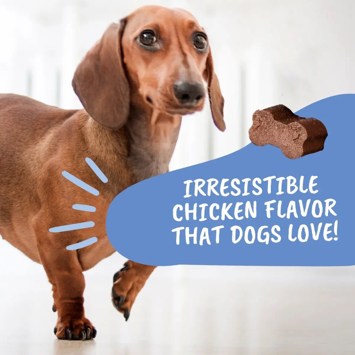 Under the Weather Disc & Spine Soft Chew 60ct. - Talis Us