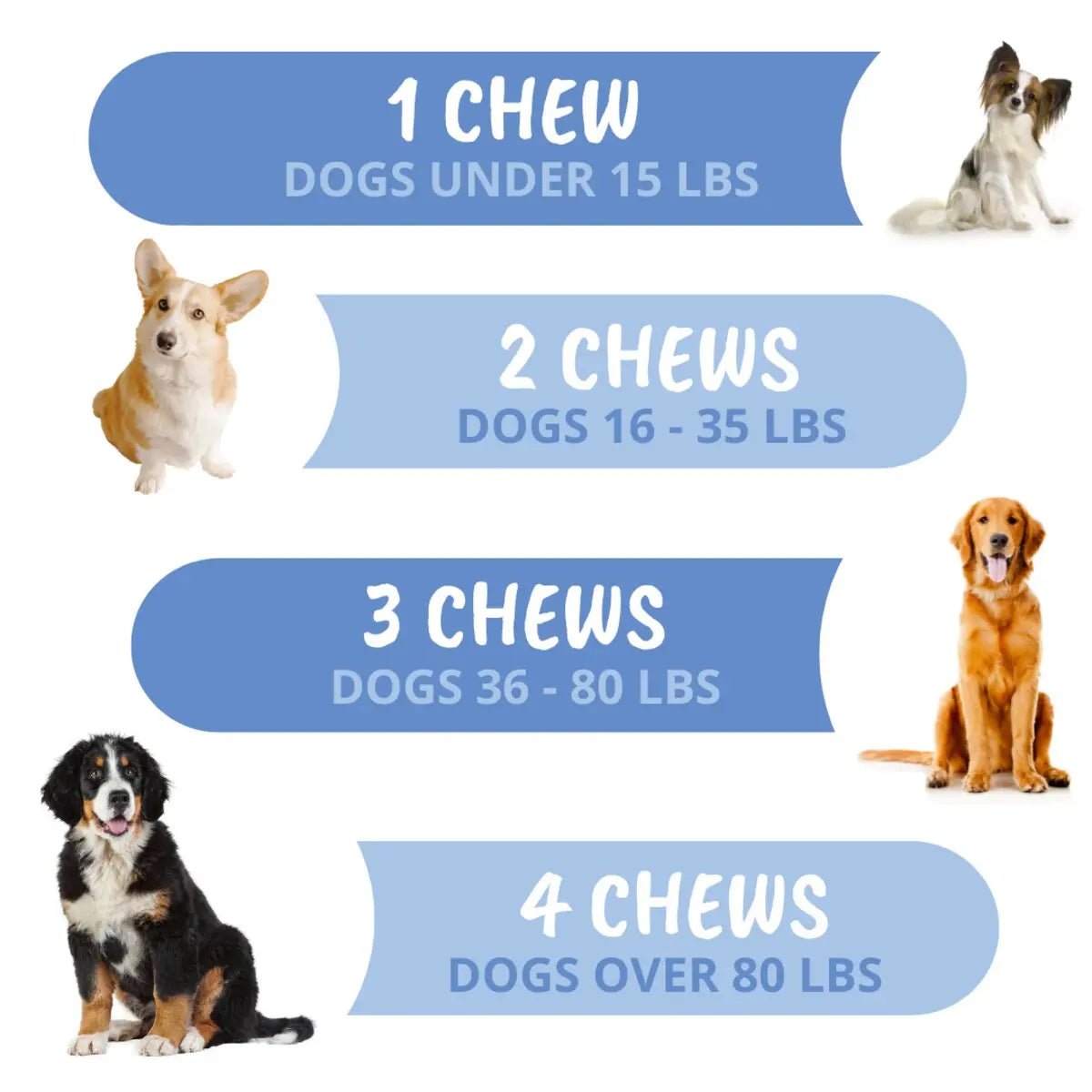 Under the Weather Disc & Spine Soft Chew 60ct. - Talis Us