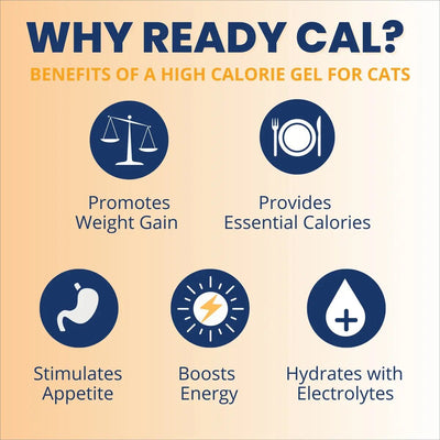 Under the Weather Ready Cal Plus w Electrolyes Squeezable for Cats 3.5oz - Talis Us