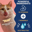 Under the Weather Ready Cal Plus w Electrolyes Squeezable for Cats 3.5oz - Talis Us