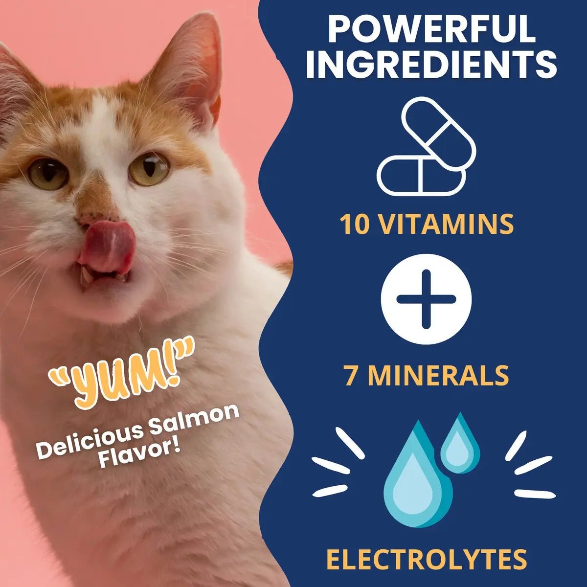 Under the Weather Ready Cal Plus w Electrolyes Squeezable for Cats 3.5oz - Talis Us