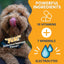 Under the Weather Ready Cal Plus w Electrolytes Squeezable for Dogs 3.5oz - Talis Us
