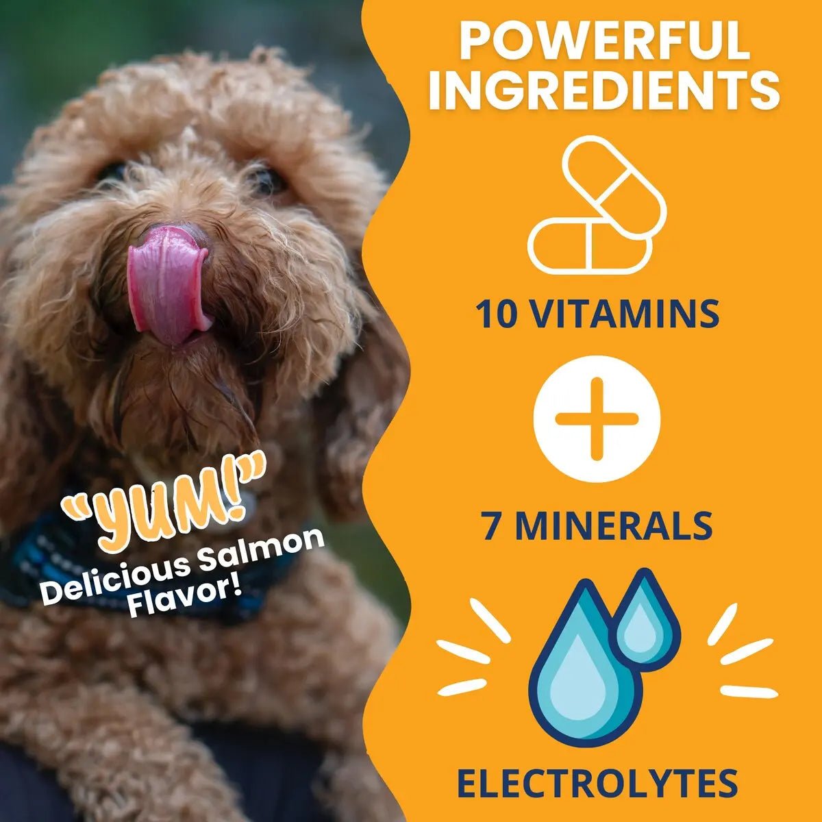 Under the Weather Ready Cal Plus w Electrolytes Squeezable for Dogs 3.5oz - Talis Us