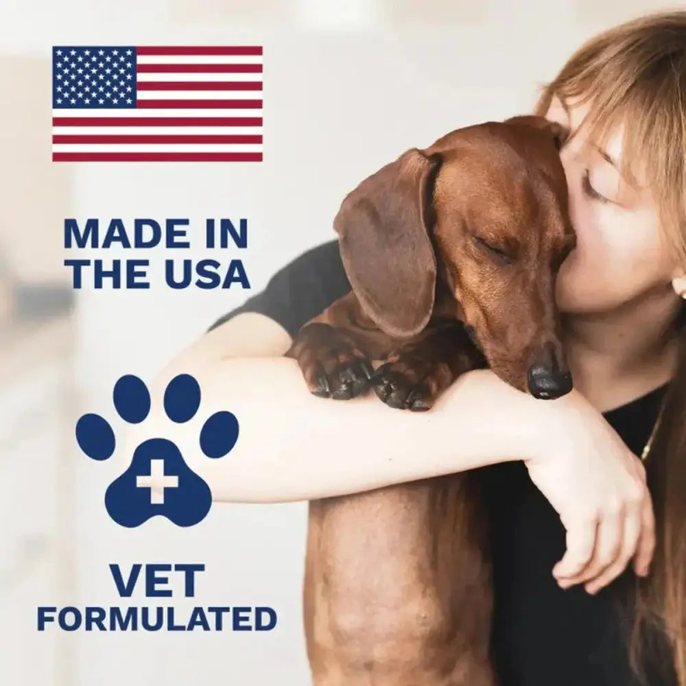 Under the Weather Anti - Diarrhea Liquid for Dogs 4oz - Talis Us