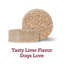 Vetality Canine Aspirin – Fast Acting Pain Relief for Dogs - Talis Us