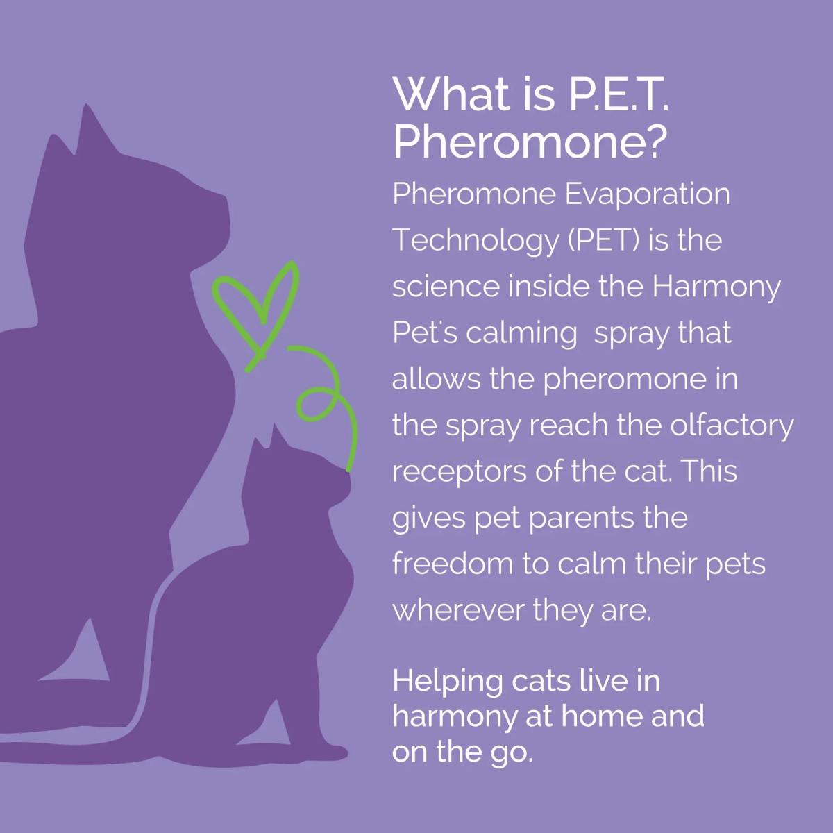 Vetality Harmony Pet Calming Spray for Cats 1.62 fl oz - Talis Us