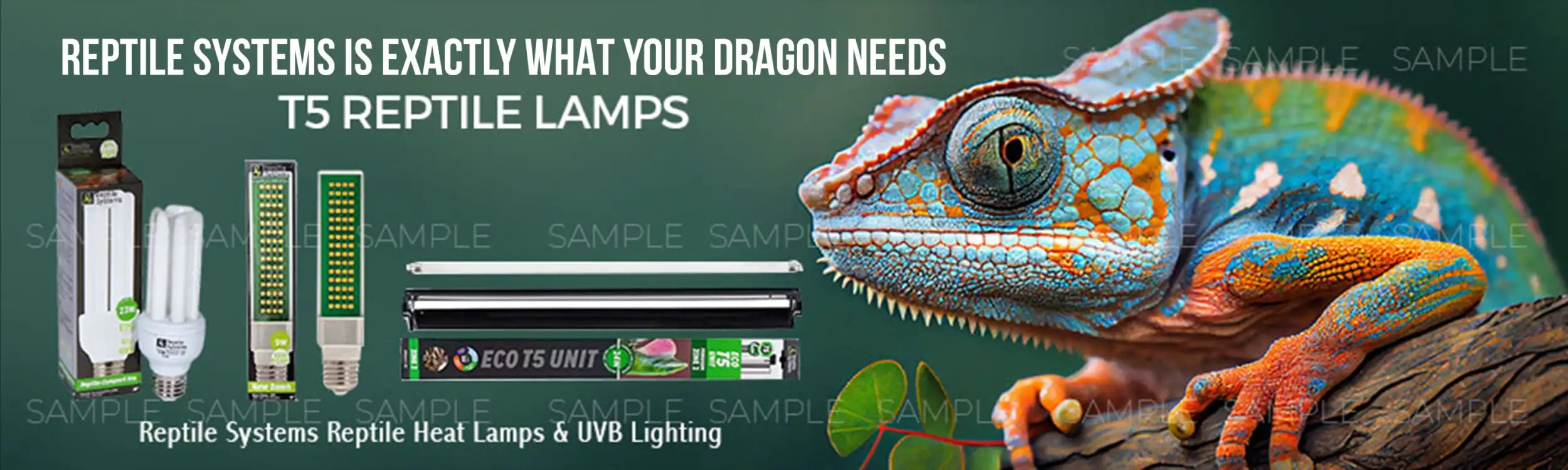 A vibrant, multicolored chameleon with intricate blue and orange patterns on its skin.