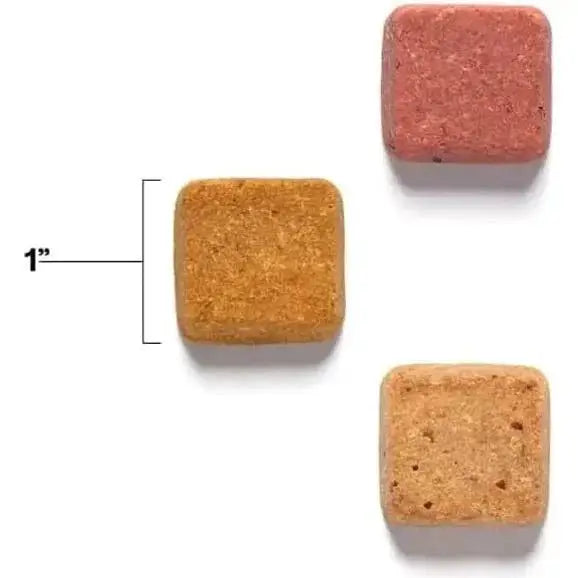 Wild Earth Superfood Vegan Dog Treats with Koji, Peanut Butter - Talis Us