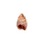 Winnie Lou All - Natural Bison Trachea Chews for Dogs - Talis Us
