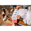 Wondercide Flea & Tick Spot On for Dogs Peppermint - Talis Us