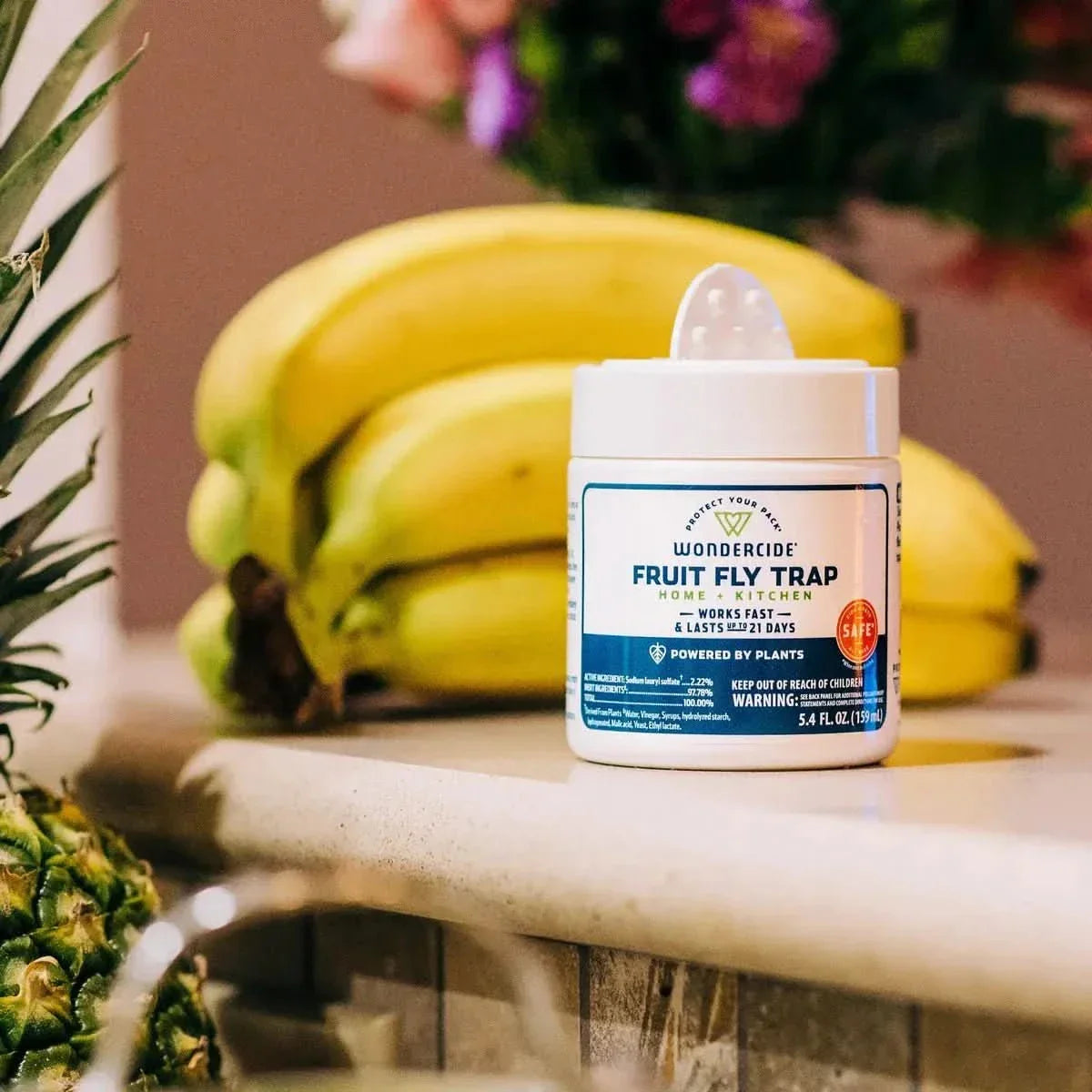 Wondercide Fruit Fly Home & Kitchen Trap - Talis Us