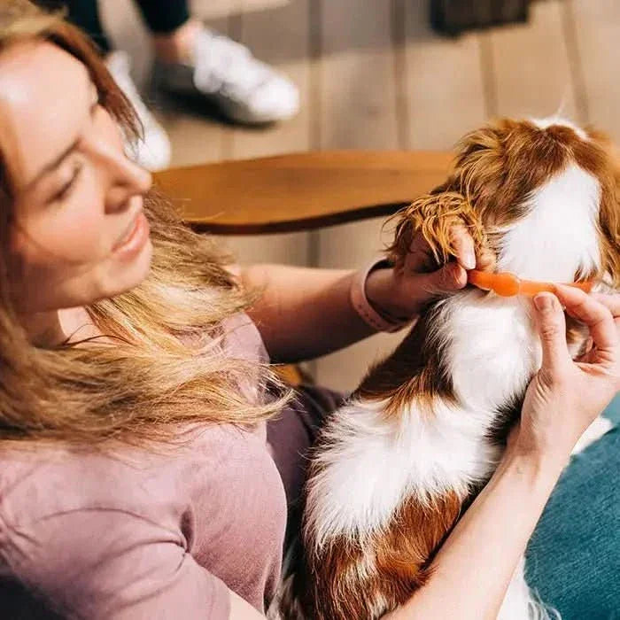 Wondercide Natural Flea, Tick & Mosquito Repellent Dogs Collar - Talis Us