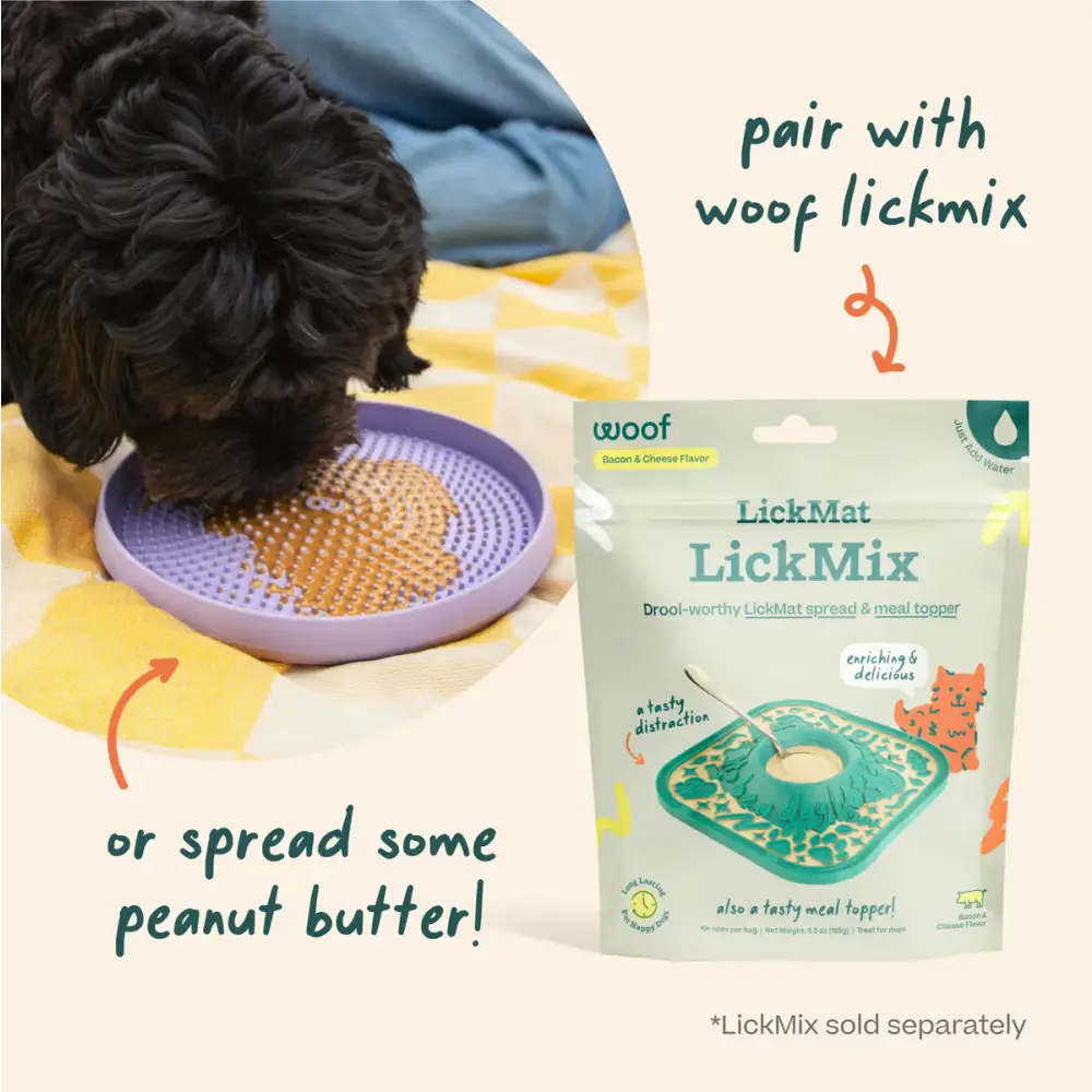 Woof Pet Flying Disc Dog Toy in vibrant colors for outdoor play and fetch fun