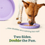 Woof Pet Flying Disc Dog Toy in Purple, doubles as a calming lick mat for playful dogs