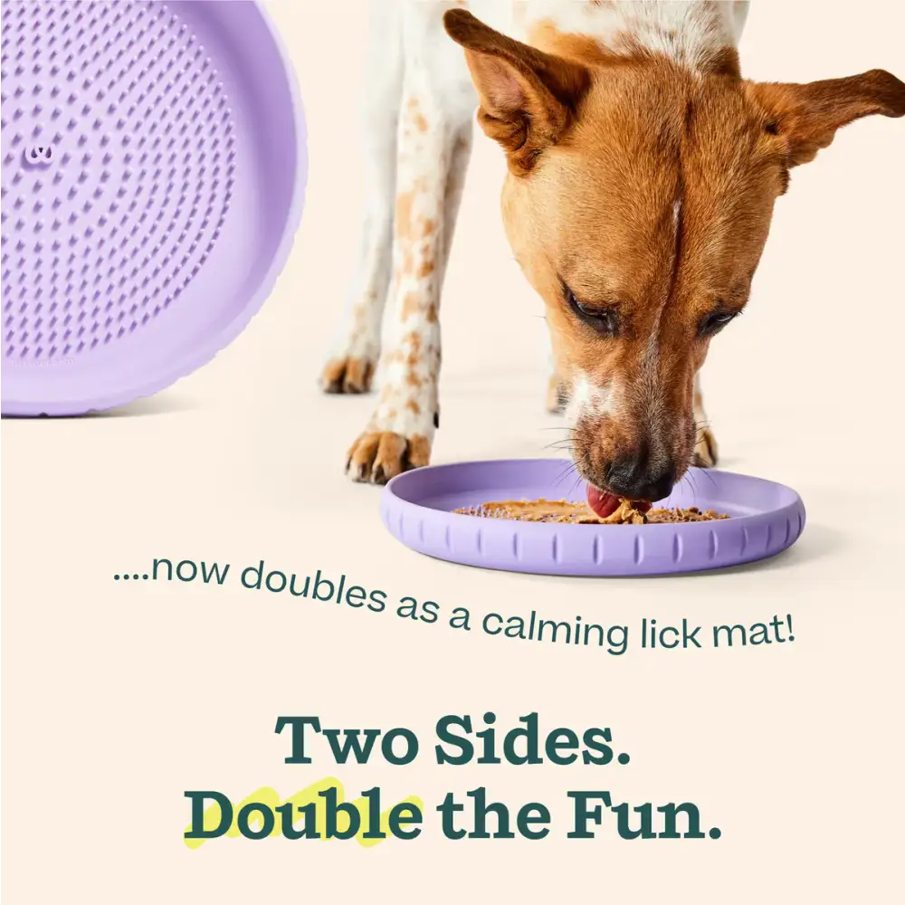 Woof Pet Flying Disc Dog Toy in Purple, doubles as a calming lick mat for playful dogs