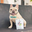 Happy French Bulldog sitting next to package of freeze dried duck dog food from The New Zealand Natural Pet Food Co