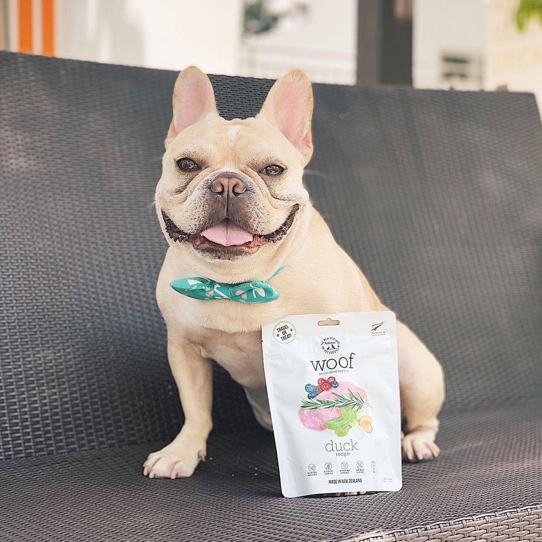Happy French Bulldog sitting next to package of freeze dried duck dog food from The New Zealand Natural Pet Food Co