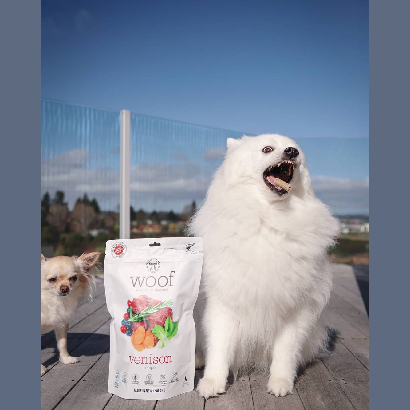 Freeze dried venison dog food by The New Zealand Natural Pet Food Co with a happy dog outdoors