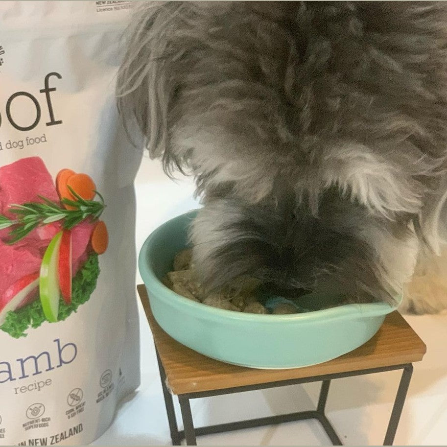 Dog enjoying Woof lamb freeze dried dog food from The New Zealand Natural Pet Food Co in a bowl