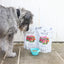 Dog enjoying Woof lamb freeze dried dog food from The New Zealand Natural Pet Food Co