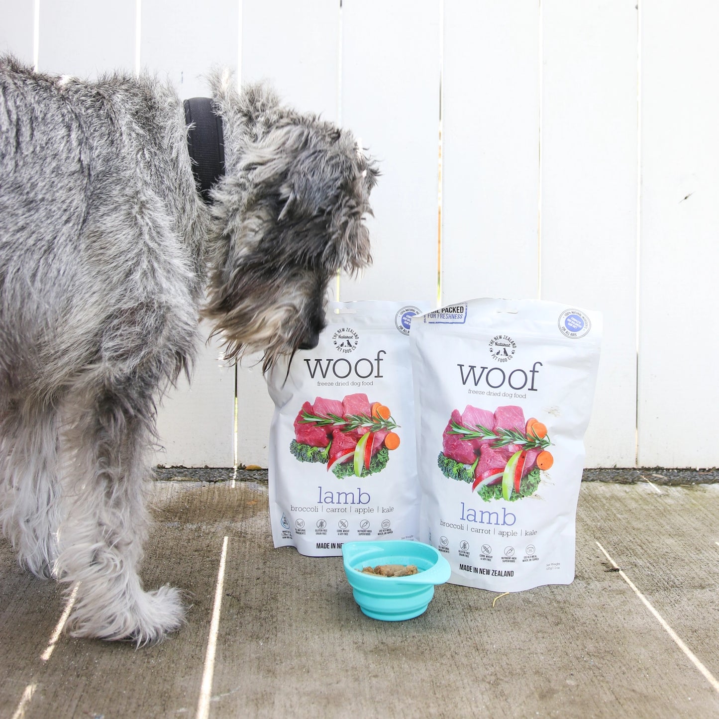 Dog enjoying Woof lamb freeze dried dog food from The New Zealand Natural Pet Food Co