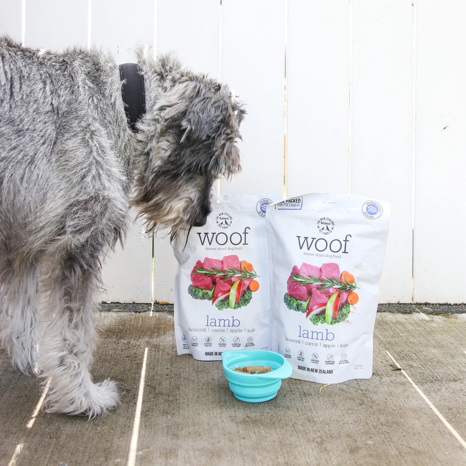 Dog enjoying Woof lamb freeze dried dog food from The New Zealand Natural Pet Food Co