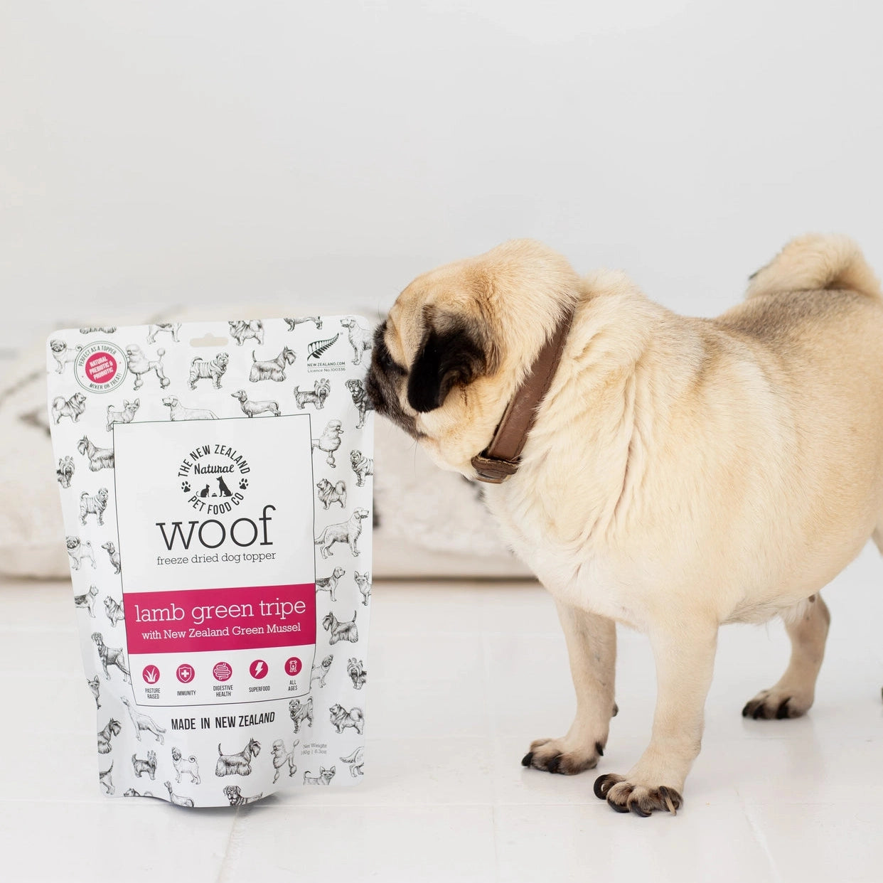 Pug dog sniffing a bag of lamb green tripe dog food topper by The New Zealand Natural Pet Food Co