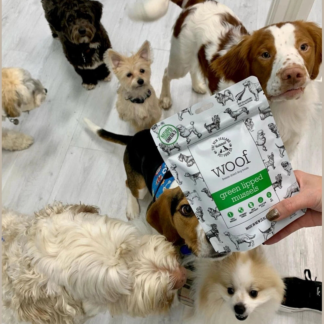 New Zealand green mussel dog treats package held among excited dogs in a pet-friendly setting