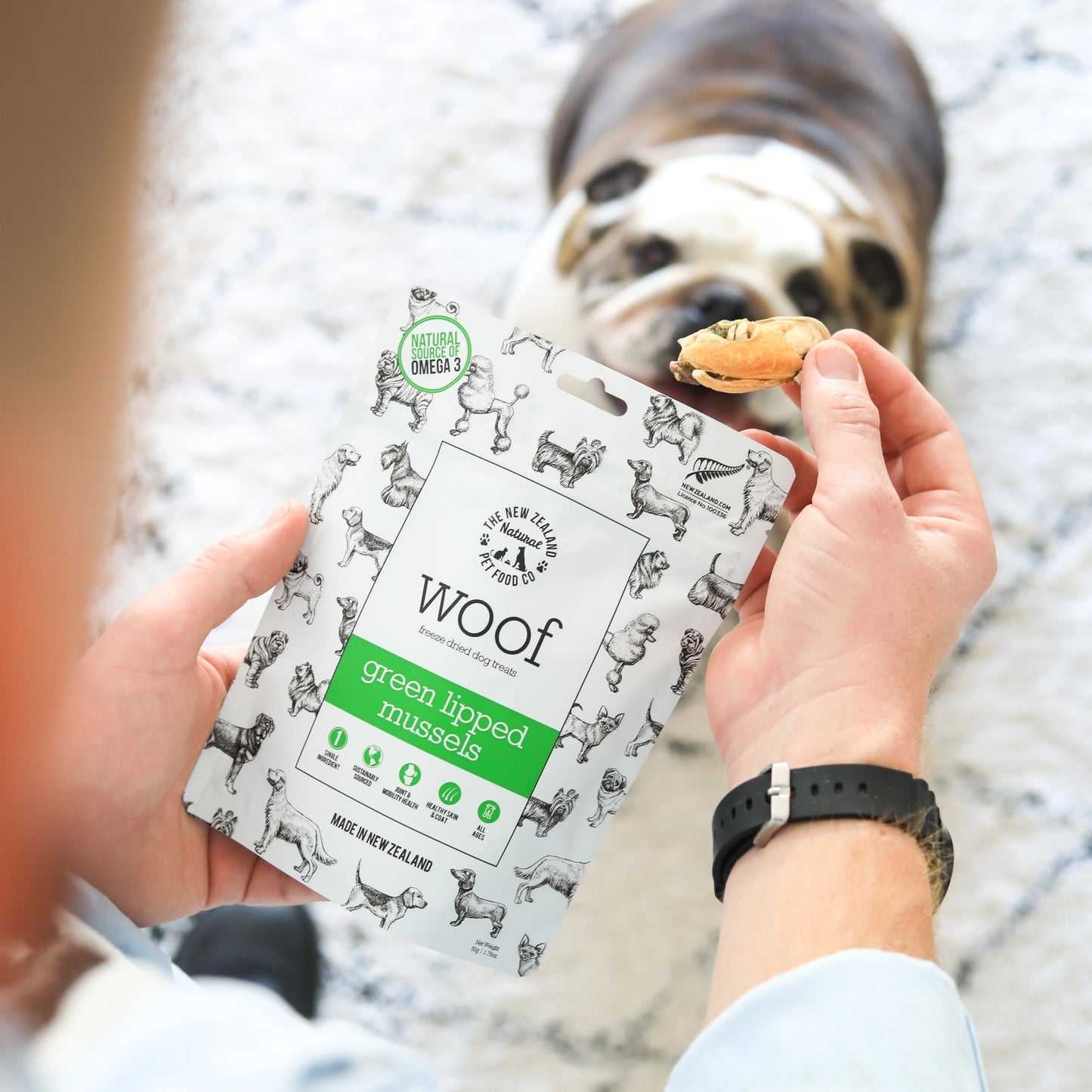 New Zealand green mussel dog treats in a hand while a dog enjoys them on a cozy rug