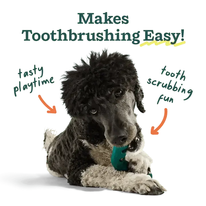 Woof Pet Bite n' Brush Dental Refills - Talis Us