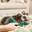 Woof Pet Bite n' Brush Dental Refills - Talis Us